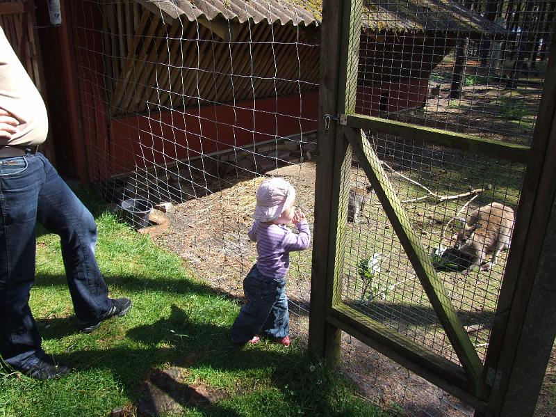 Sofia i  FarmFun 065.jpg
